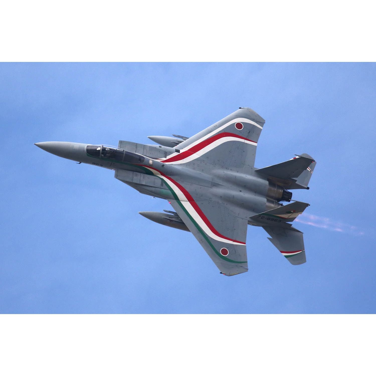 1/72 航空自衛隊 F-15J イーグル 第306飛行隊 日伊共同訓練 2023 特別