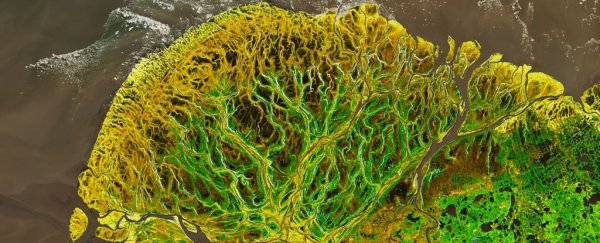 You Won't Believe These 10 Incredible Photos Are Pictures of Earth