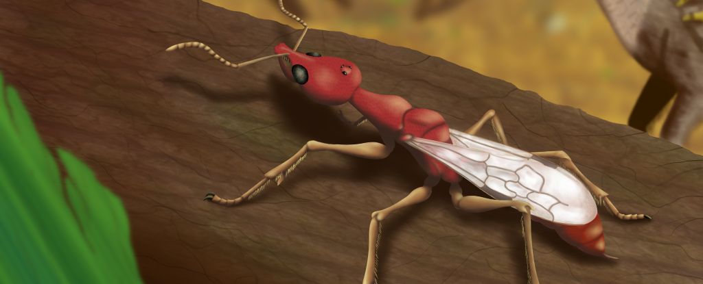 113-Million-Year-Old 'Hell Ant' Discovery Is Oldest Ever Found