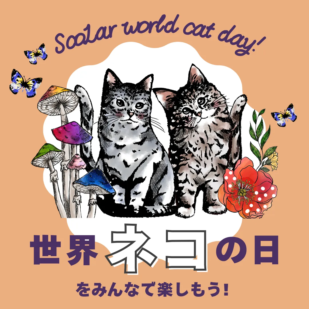 ネコ - ScoLar公式ブログ