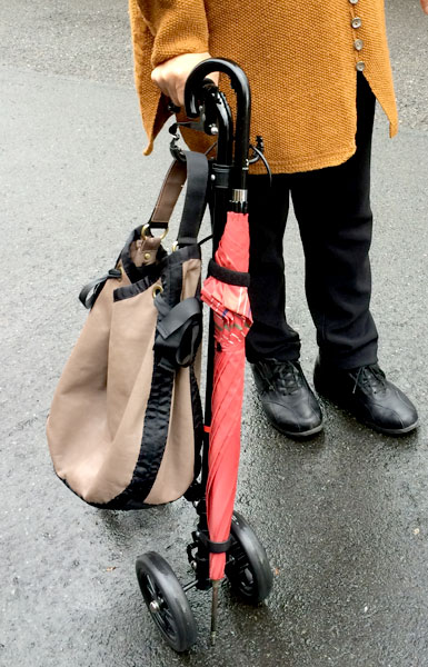 ハンドレールステッキ2 WB5135 歩行補助器 車輪付ステッキ ブラック