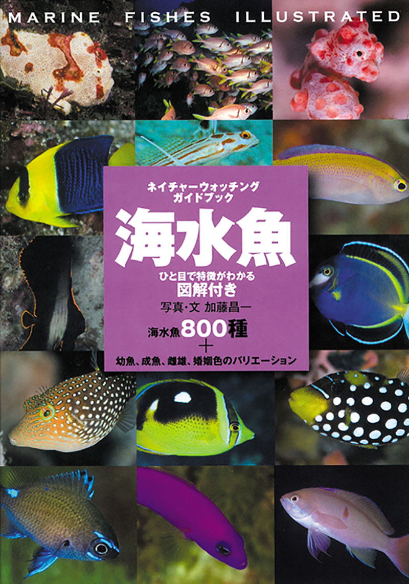 海水魚 ひと目で特徴がわかる図解付き | 株式会社誠文堂新光社