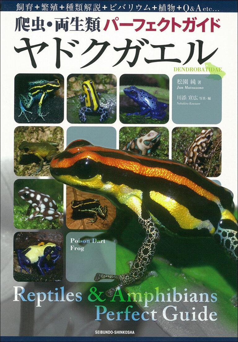 ヤドクガエル | 株式会社誠文堂新光社