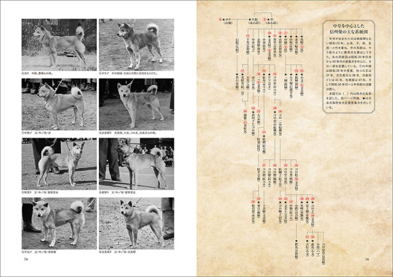 日本の犬 | 株式会社誠文堂新光社