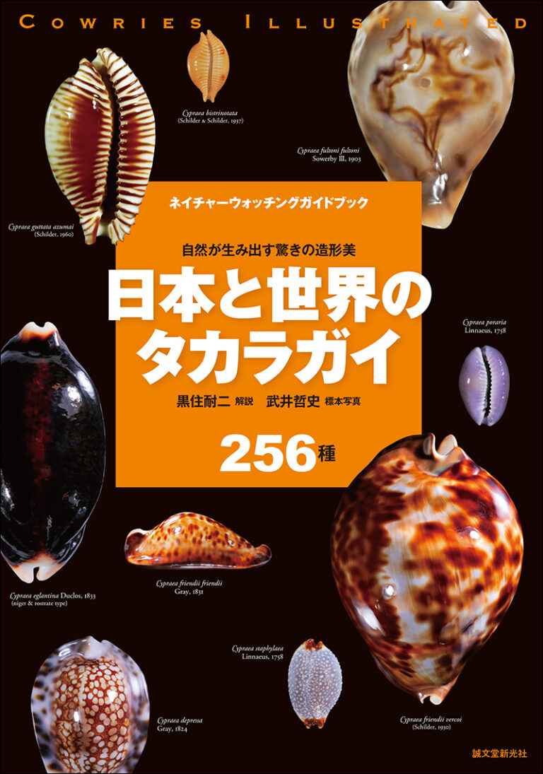 日本と世界のタカラガイ | 株式会社誠文堂新光社