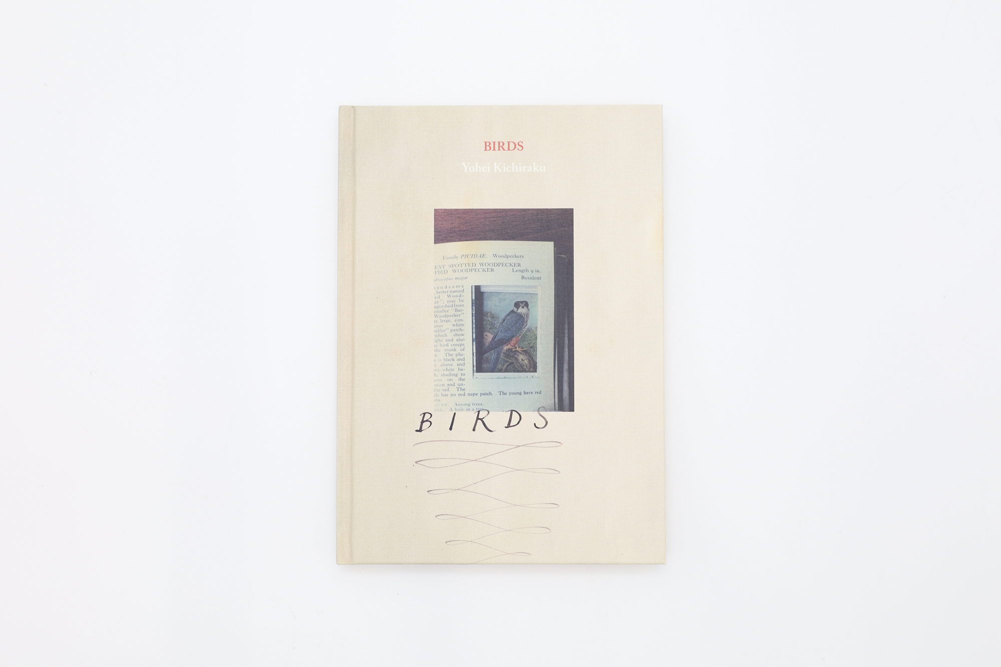 BIRDS｜青幻舎 SEIGENSHA Art Publishing, Inc.