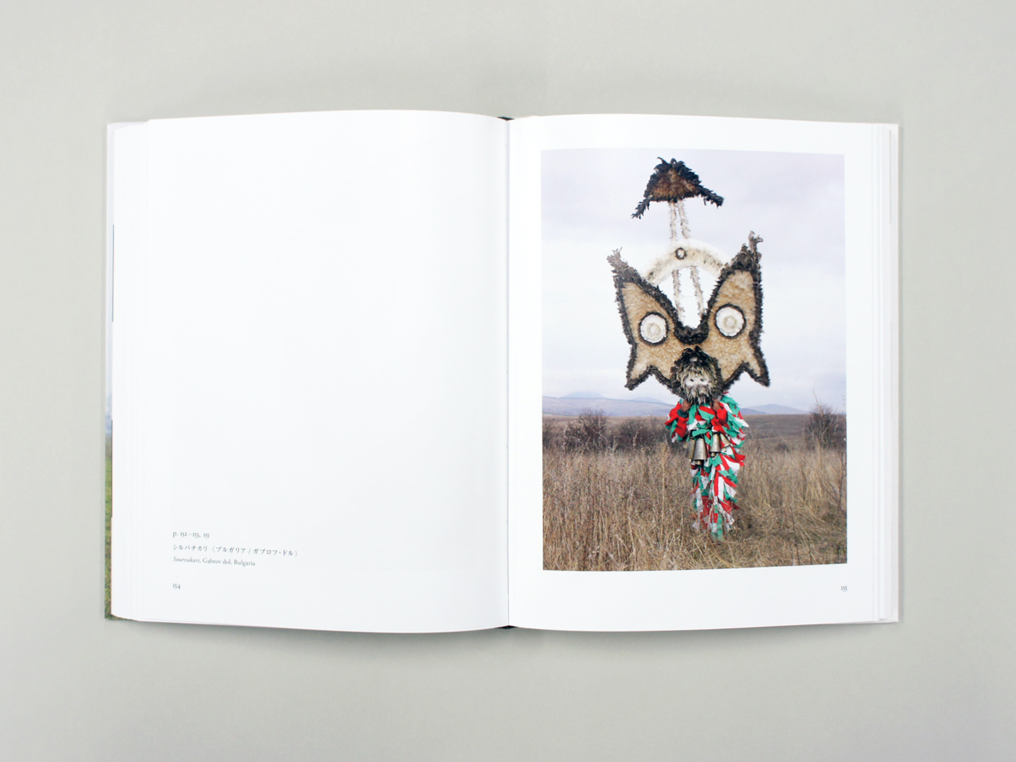 WILDER MANN （ワイルドマン） ―欧州の獣人 仮装する原始の名残｜青幻