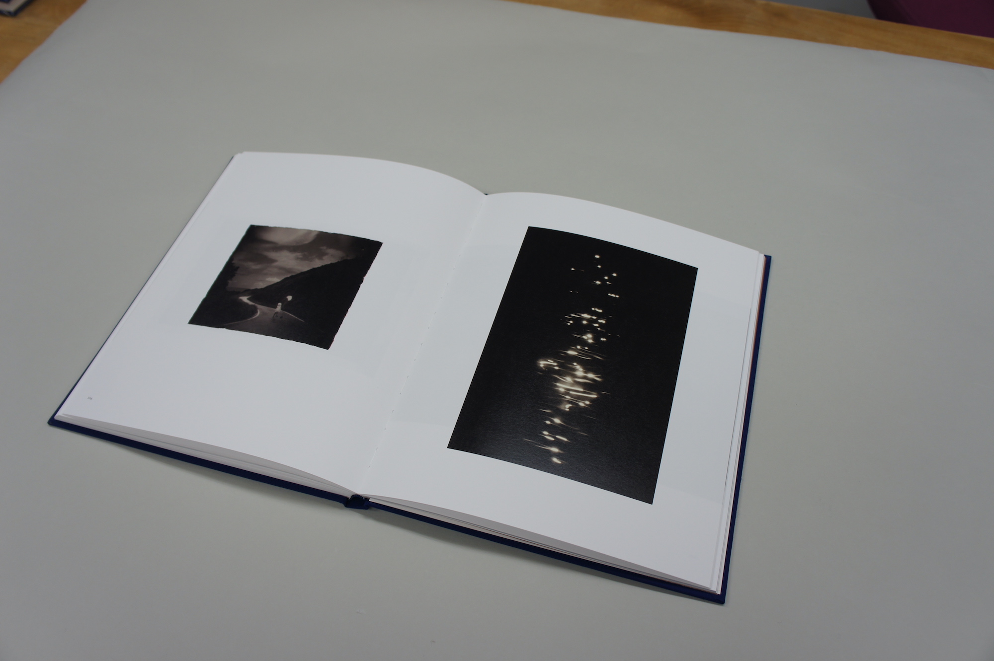 小さきもの、沈黙の中で Small Things in Silence｜青幻舎 SEIGENSHA