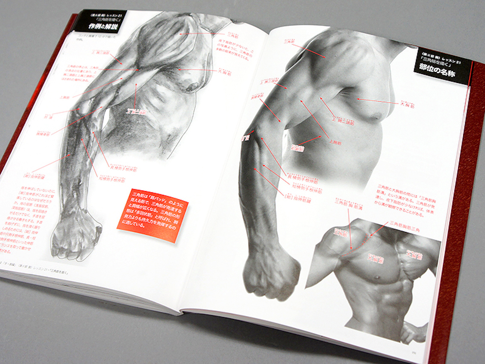 美術解剖学レッスンⅠ【手・腕編】｜青幻舎 SEIGENSHA Art Publishing
