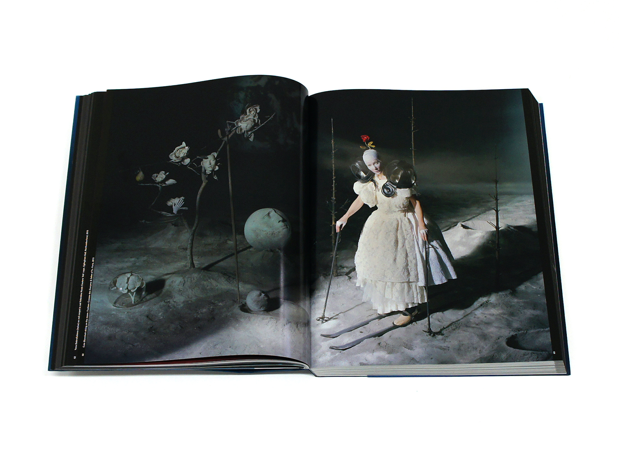 ティム・ウォーカー写真集 SHOOT FOR THE MOON｜青幻舎 SEIGENSHA Art