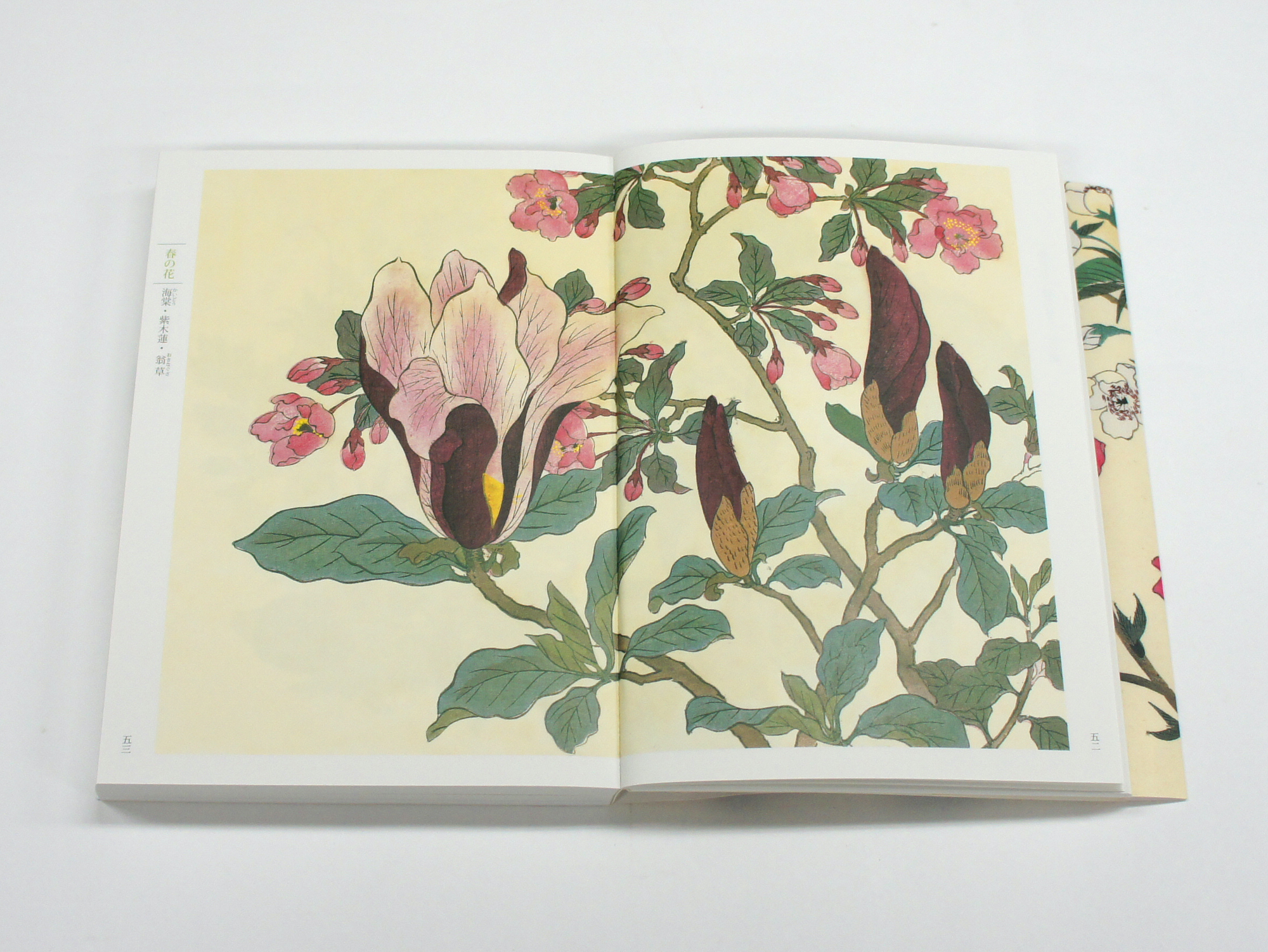 新装版 四季の花（上巻）｜青幻舎 SEIGENSHA Art Publishing, Inc.