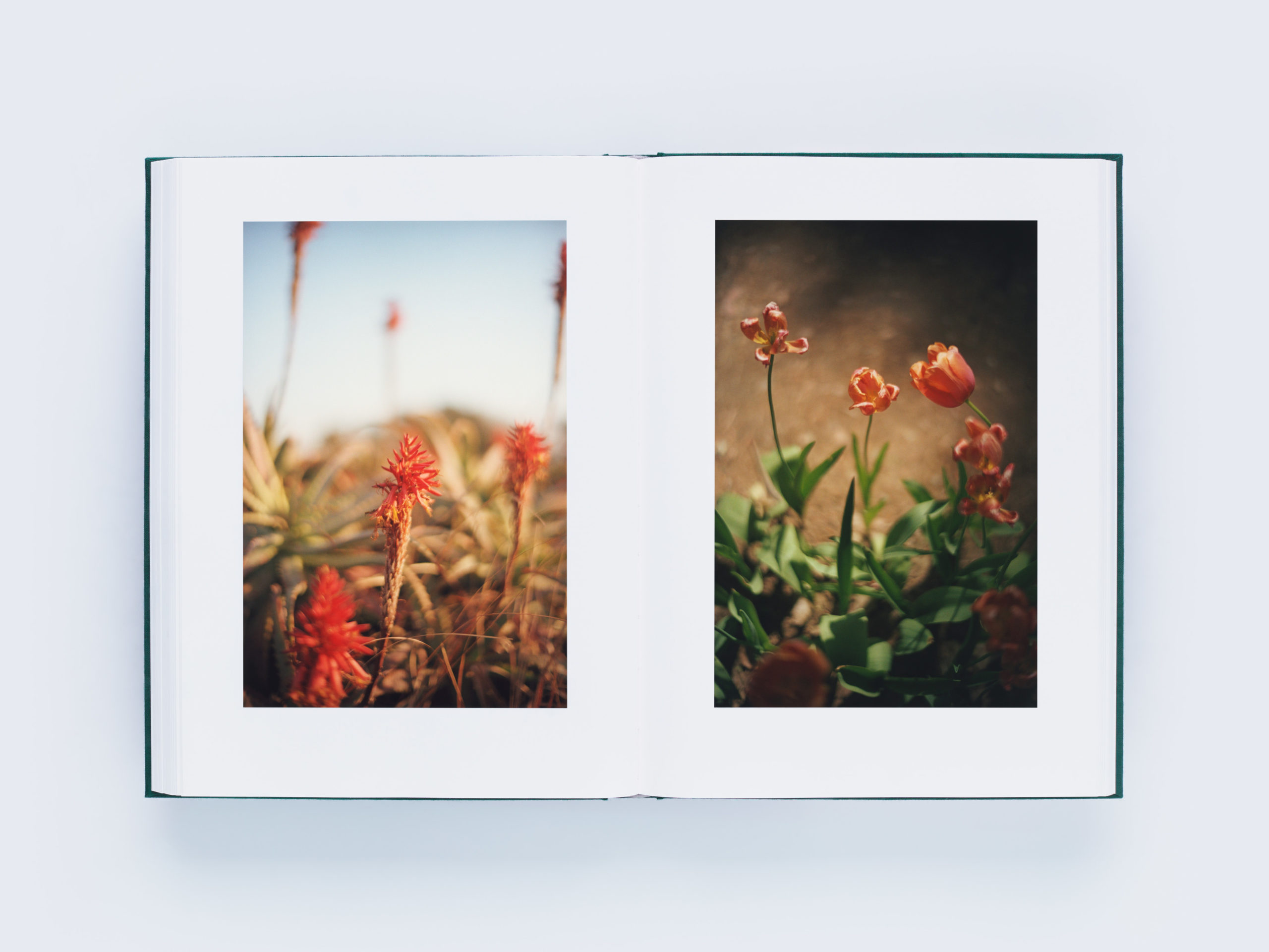 LUMIÈRE ルミエール｜青幻舎 SEIGENSHA Art Publishing, Inc.