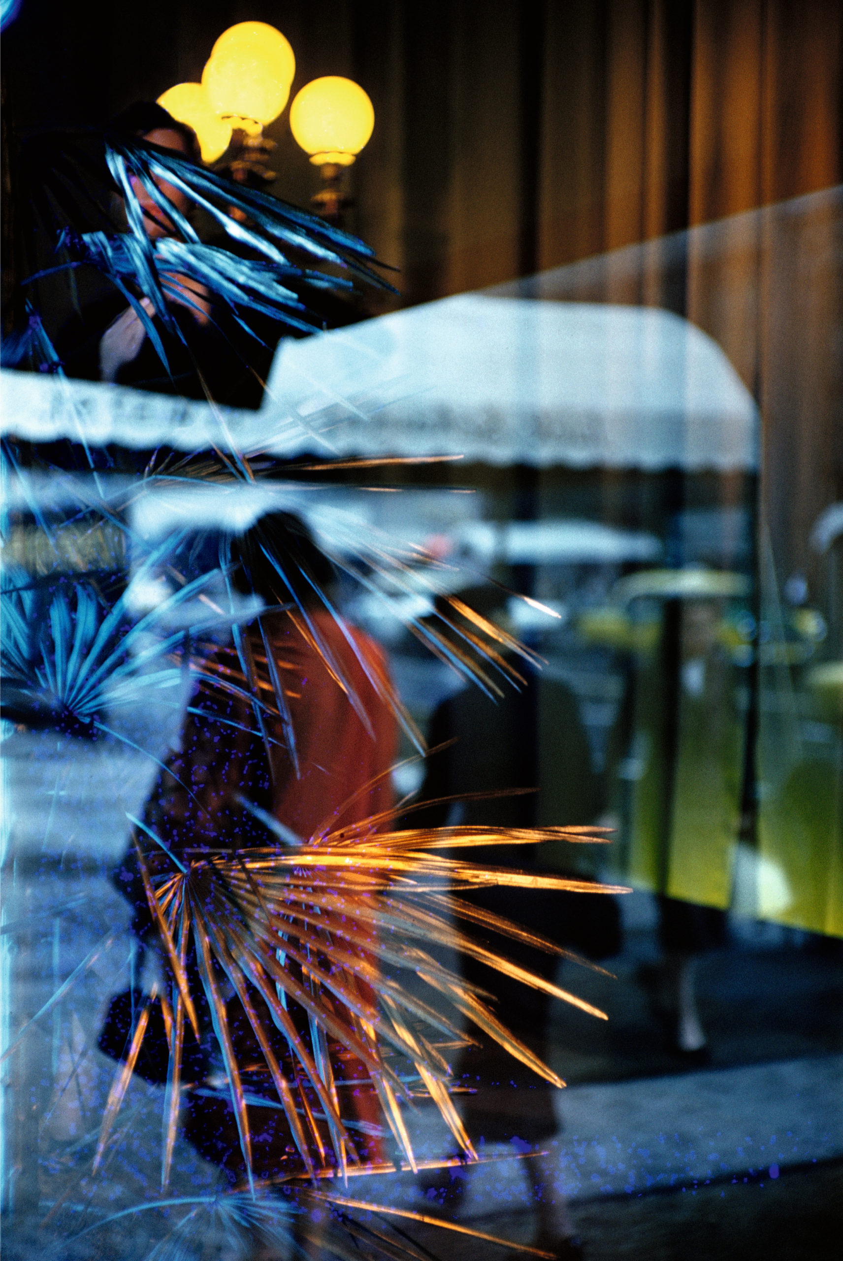 ソール・ライター Saul Leiter | 青幻舎 SEIGENSHA Art Publishing