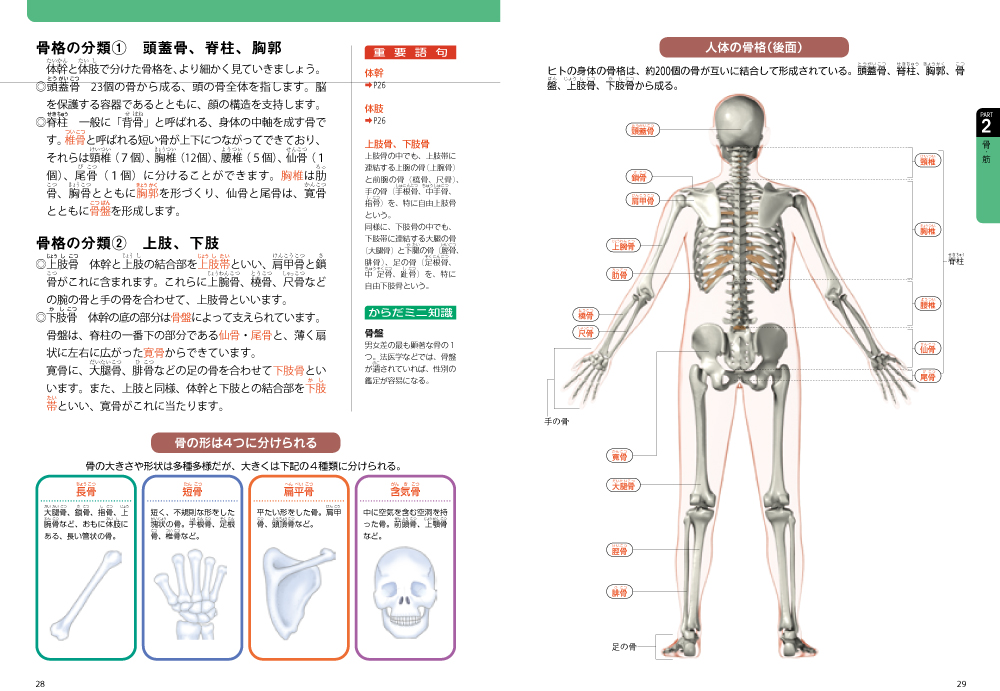 カラー図解 人体解剖の基本がわかる事典｜西東社｜『人生を楽しみ・今