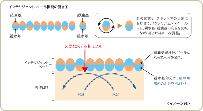 進化するスキンケア エルテオシリーズ | きれいのレシピ by セプテム