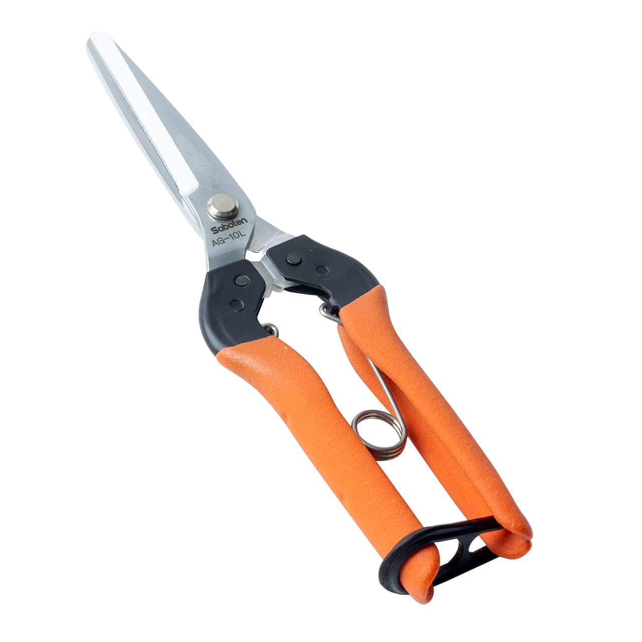 左利き用青果はさみ | 株式会社サボテン