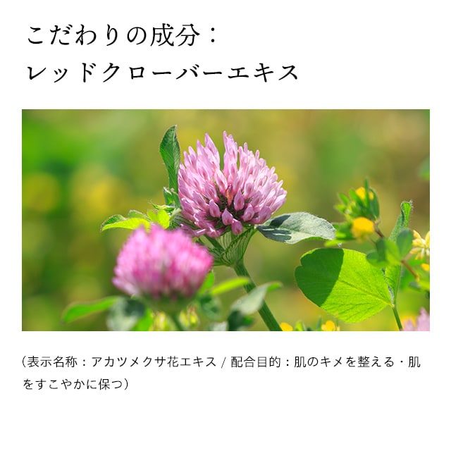 ドモホルンリンクルの『泡の柔肌パック』の商品詳細と使い方｜基礎