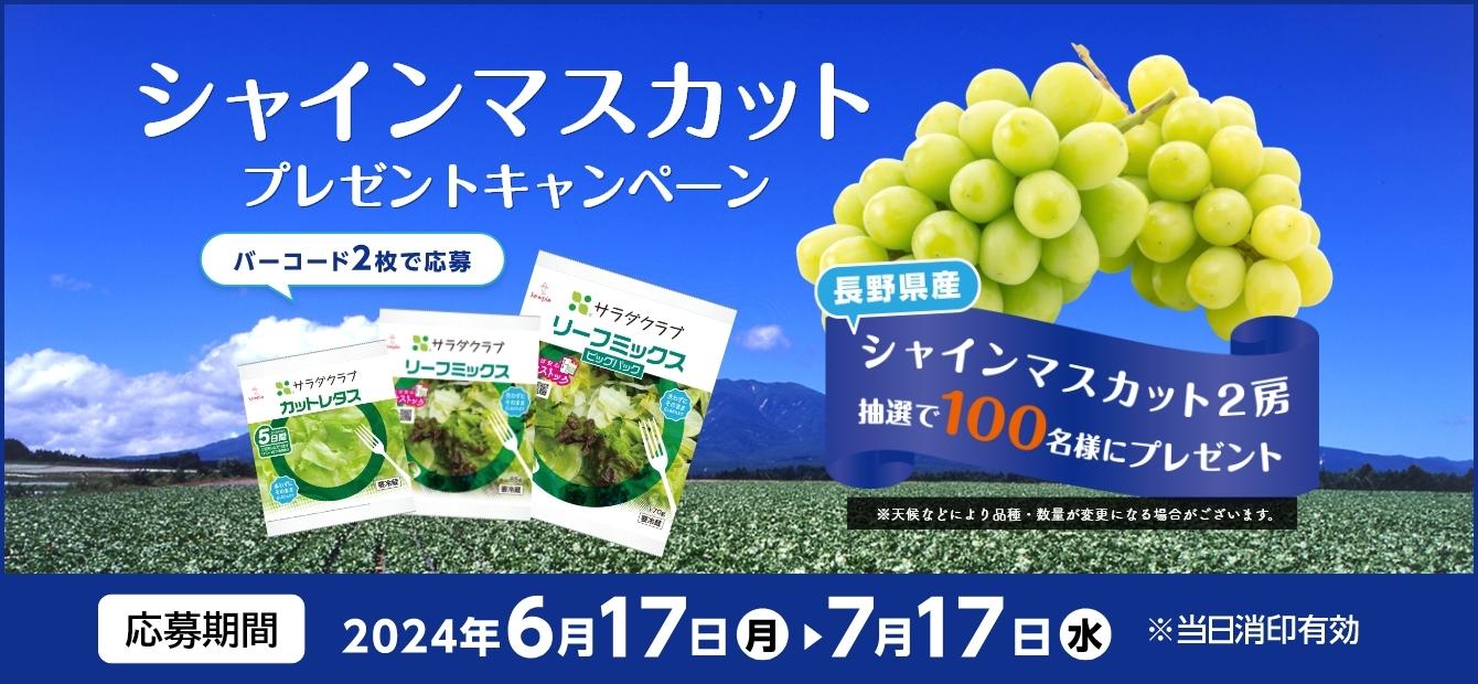 過去のキャンペーン一覧 | サラダトピックス | サラダクラブ