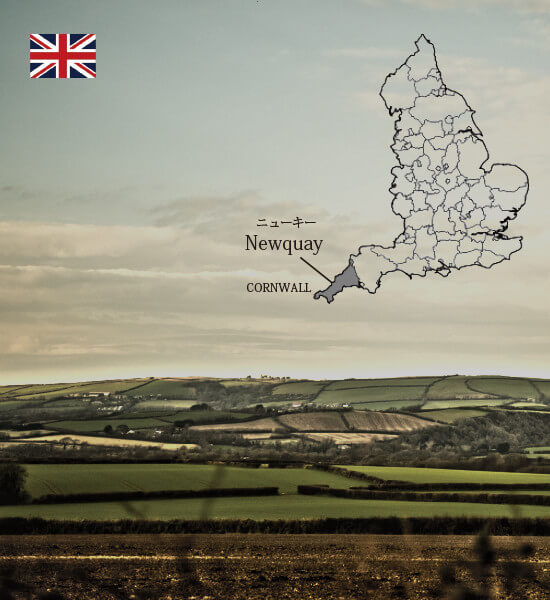 サンダース・ペリー化粧品 イギリス生まれの自然化粧品