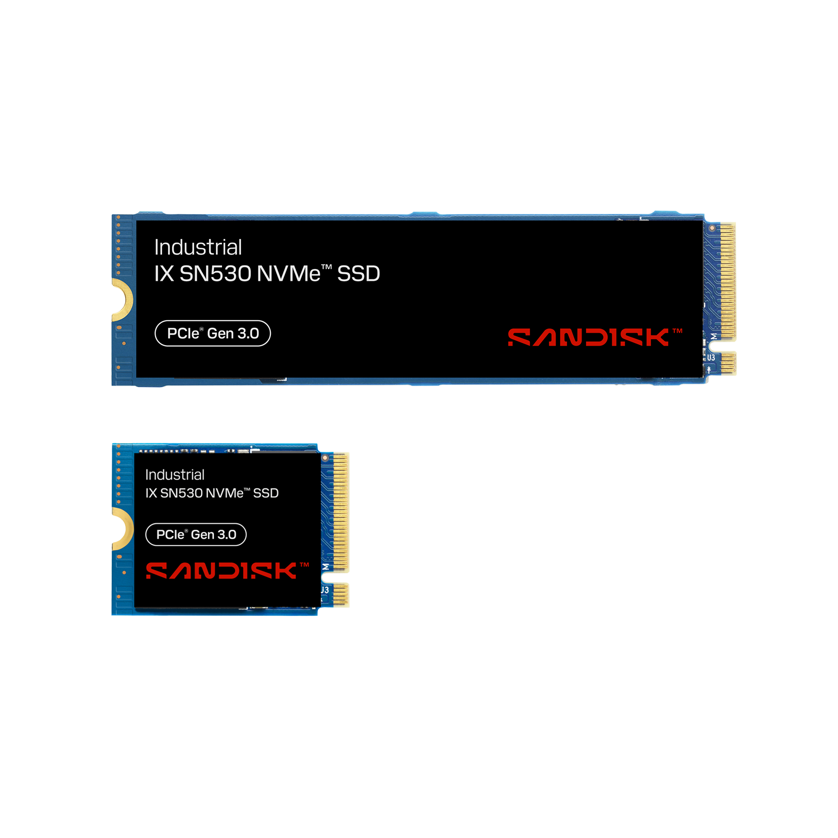 1TB M.2 2230 Industrial NVMe SSD | Sandisk
