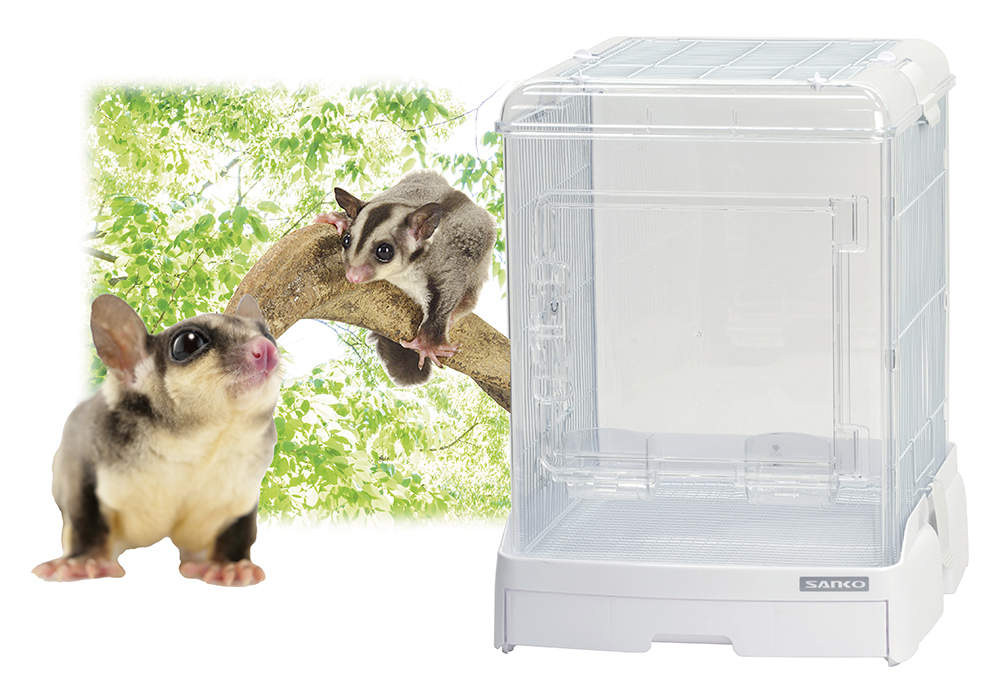 R37ハイ WH ホワイト（モモンガ飼育セット） 三晃商会 サンコー