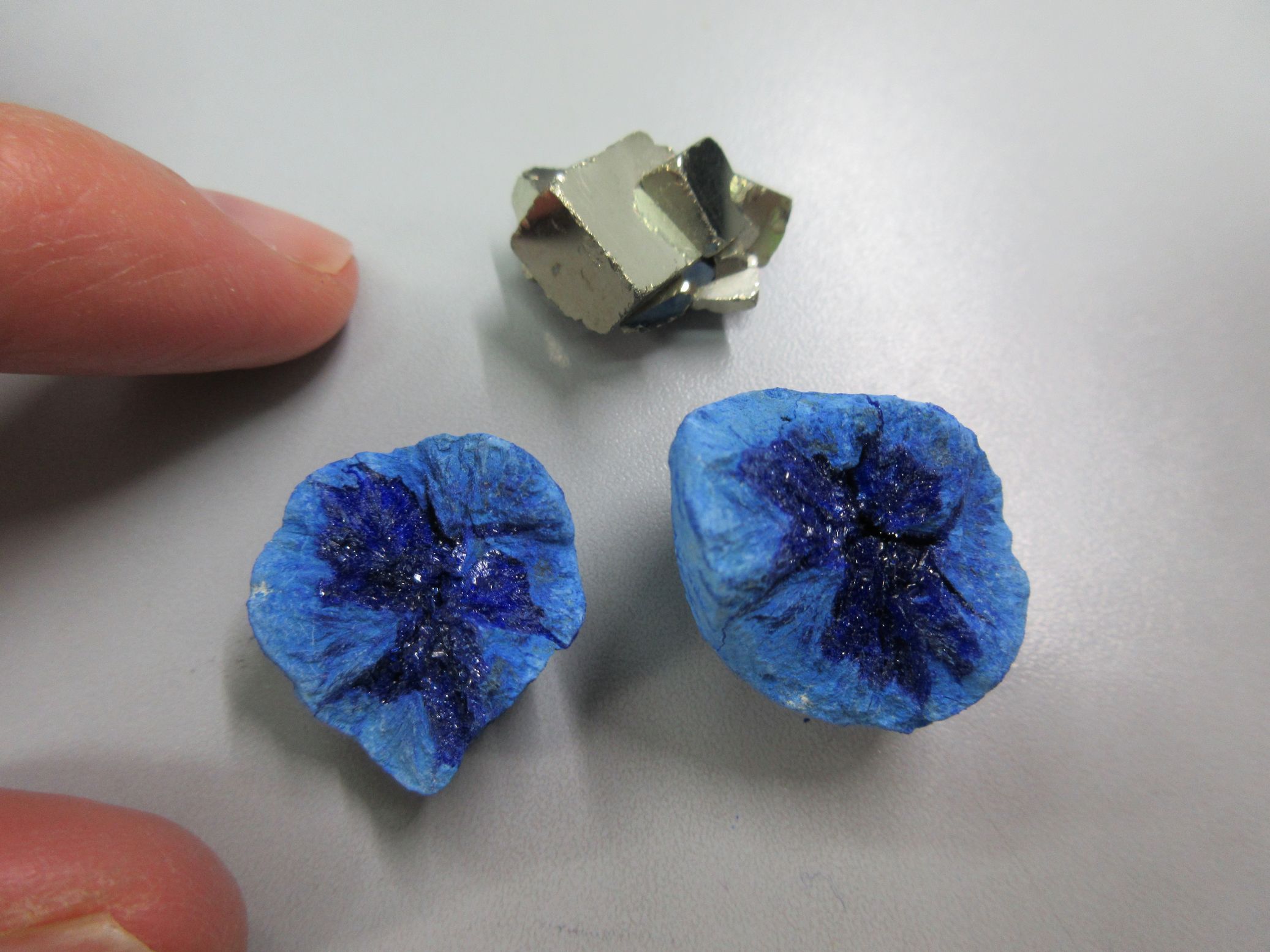 アズライトのペア原石&パイライト原石 - 三幸物産株式会社 eArth +