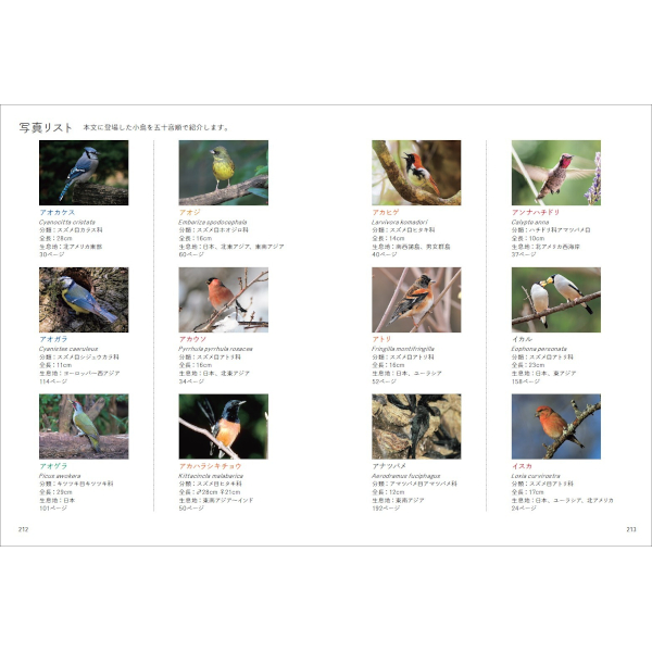 しあわせの一羽を探す 小鳥の図鑑 | 三才ブックス