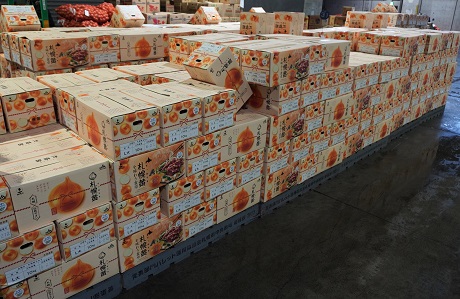 市場トピックス» Blog Archive » 日本の玉ねぎ栽培のルーツ！「札幌黄