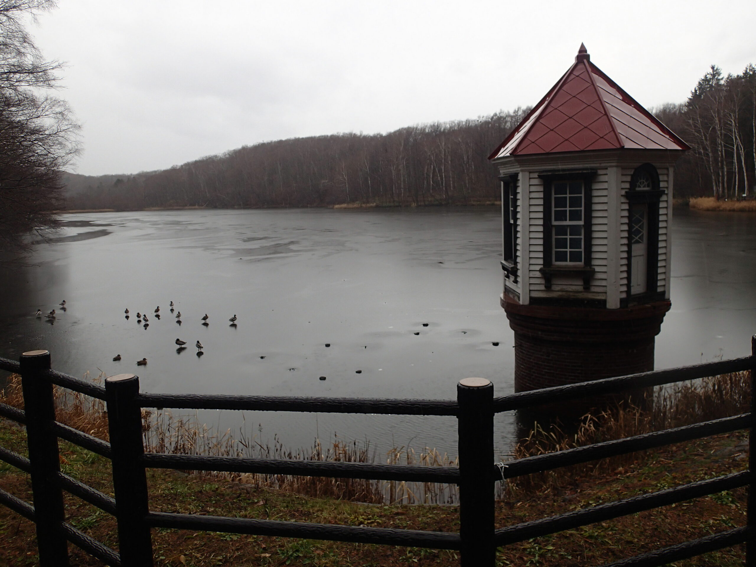 門松の販売 – 西岡公園