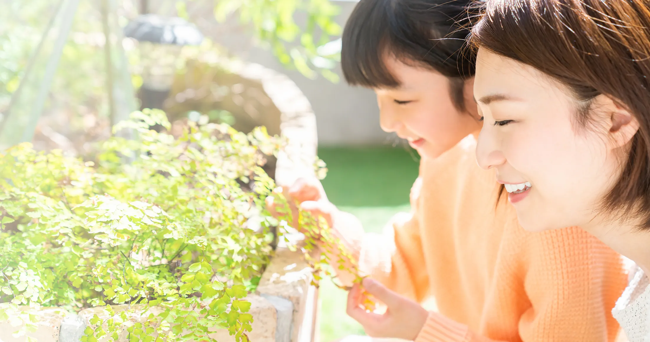 ガーデニング・園芸のことならKINCHO園芸