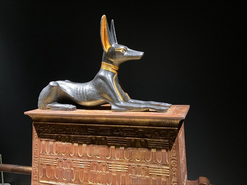 古代エジプト王ツタンカーメンの生と死 3300年前の Wow！ワンダーに