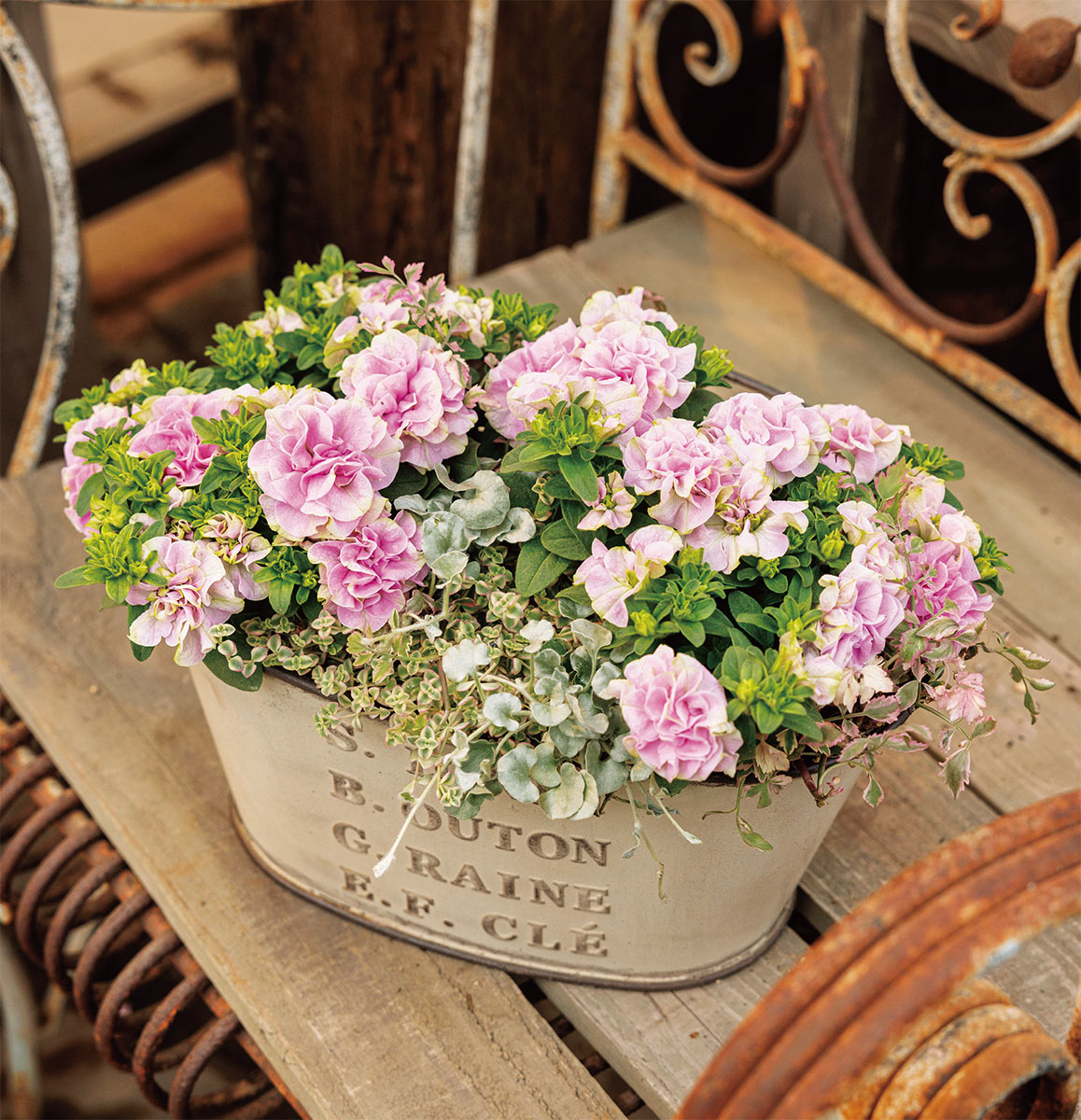 春を満喫！ウキウキ寄せ植え〈センスアップ術、Q&A、タイプ別