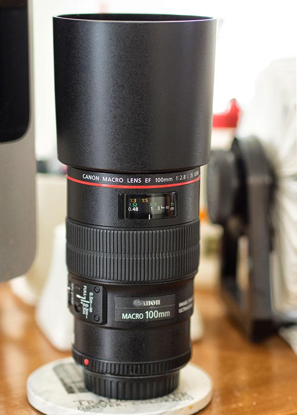 Canon EF 100mm f/2.8L Macro IS USM Lens Review: Up Close