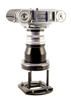 The Prominent | Shutterbug