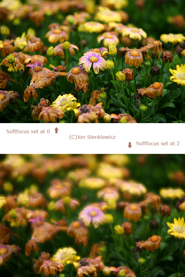 Lens Review: Classic Canon EF 135mm f/2.8 with Softfocus | Shutterbug