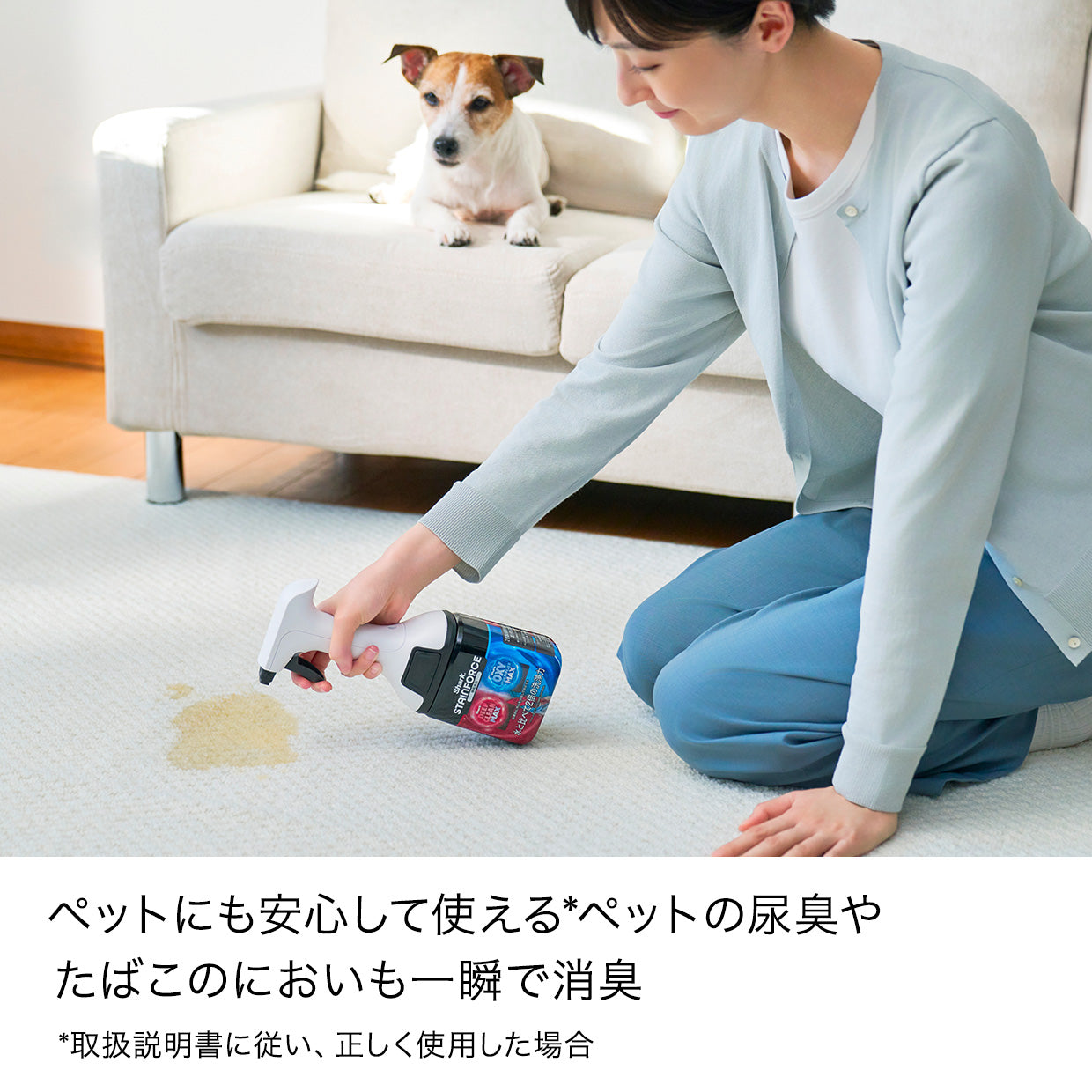 Shark StainForce コードレスシミ取りクリーナー 専用洗剤