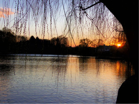 185°魚眼レンズ｜魚眼レンズ｜光学部品｜株式会社渋谷光学