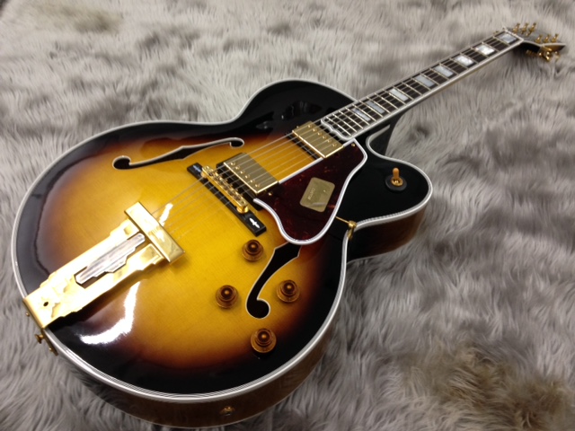 ギター】セミアコ、フルアコ激レア品が続々入荷！｜島村楽器 イオン