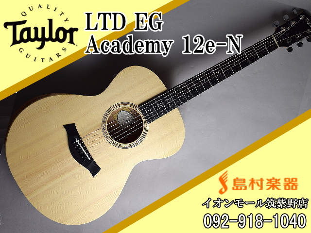Taylor LTD EG Academy 12e-N エレガットギター 【テイラー】｜島村
