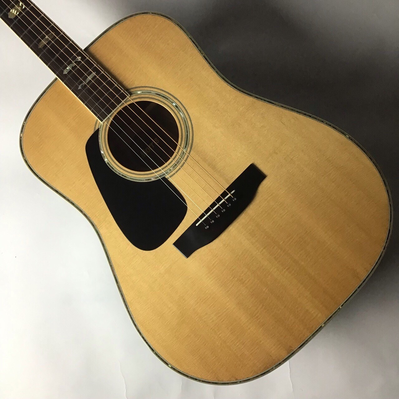 USEDアコギ】Morris(モーリス)TF-805L入荷しました！｜島村楽器 イオン