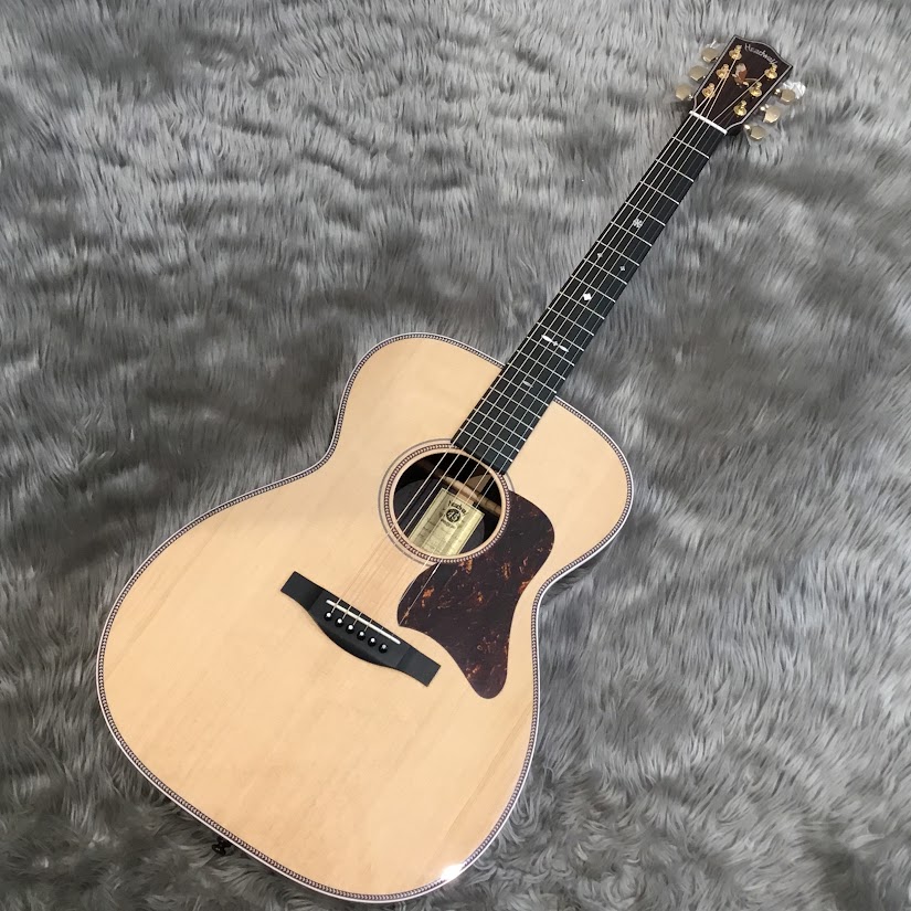 アコースティックギター】Headwayフェア開催（7月22日～8月末予定