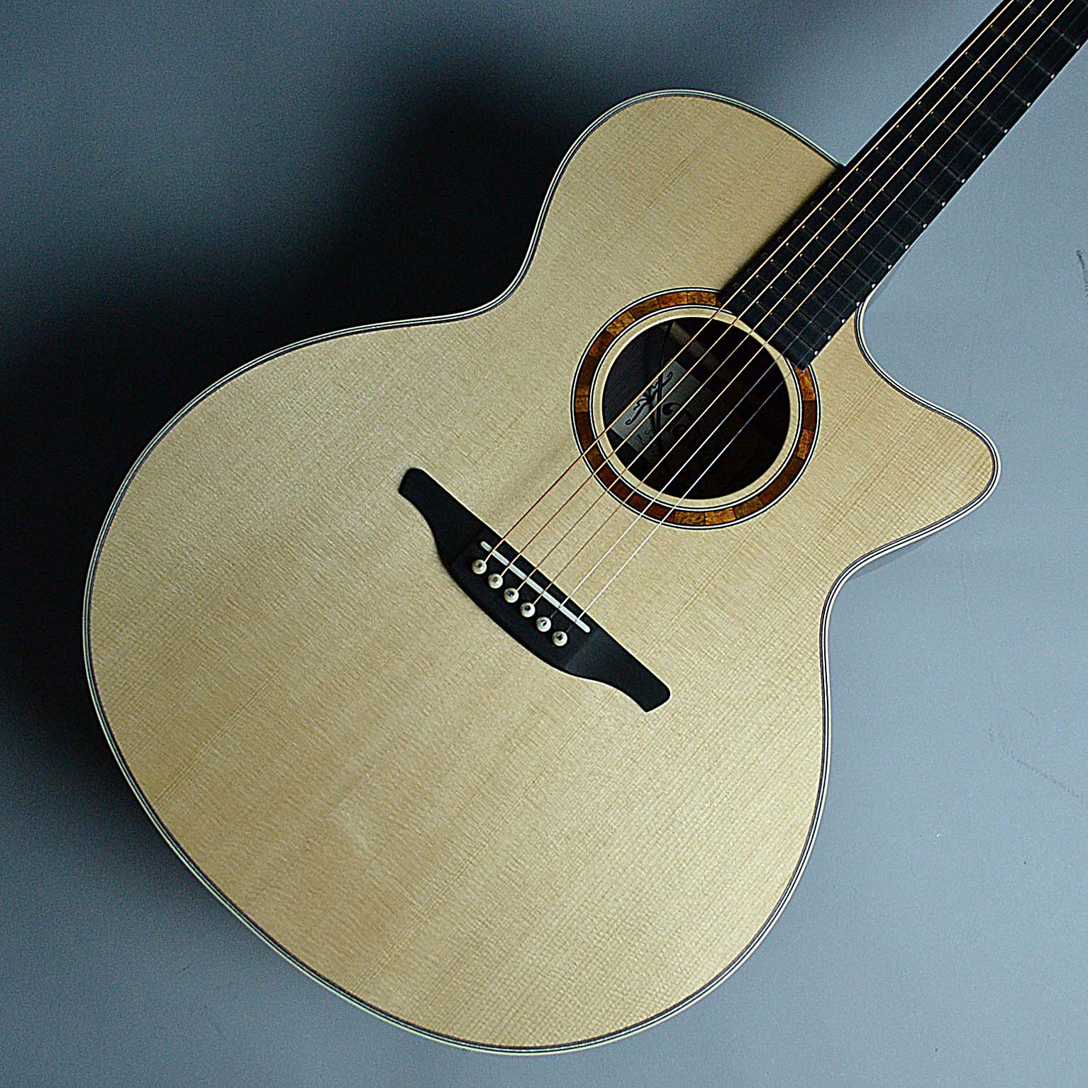 1つのギターに2つのピックアップを搭載したフィンガーピッキングに特化