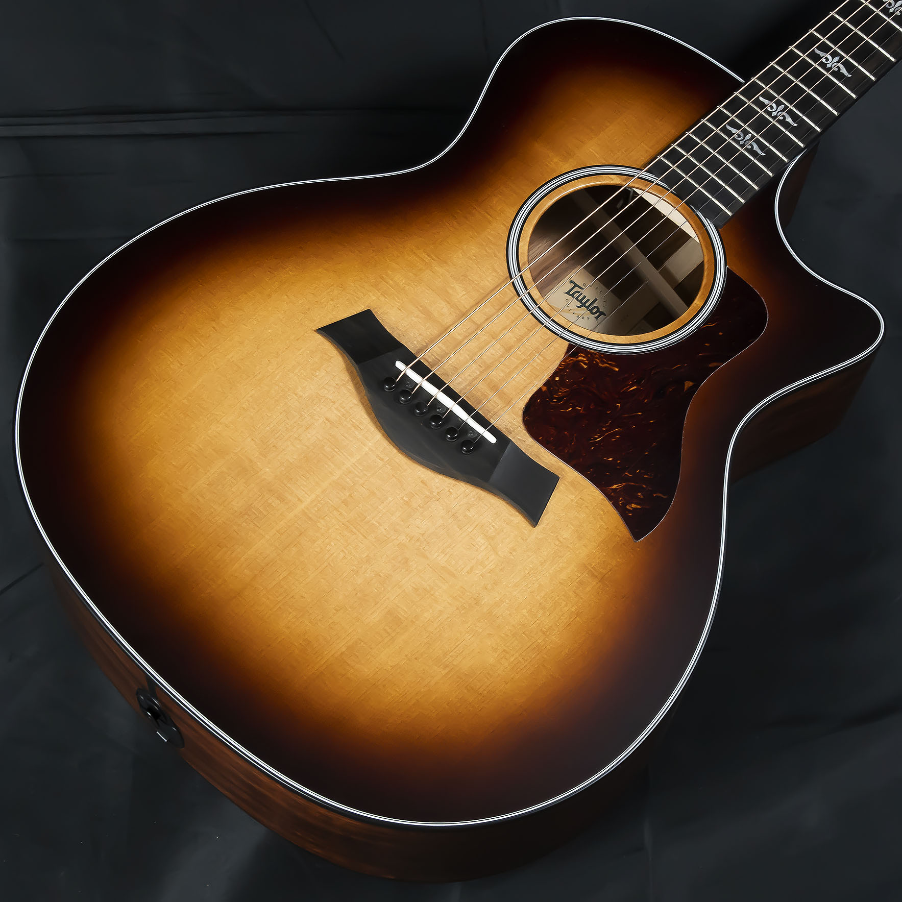 エレアコ】Taylorから文句なしのリミテッドモデルLTD 314ce K/TRS SEB