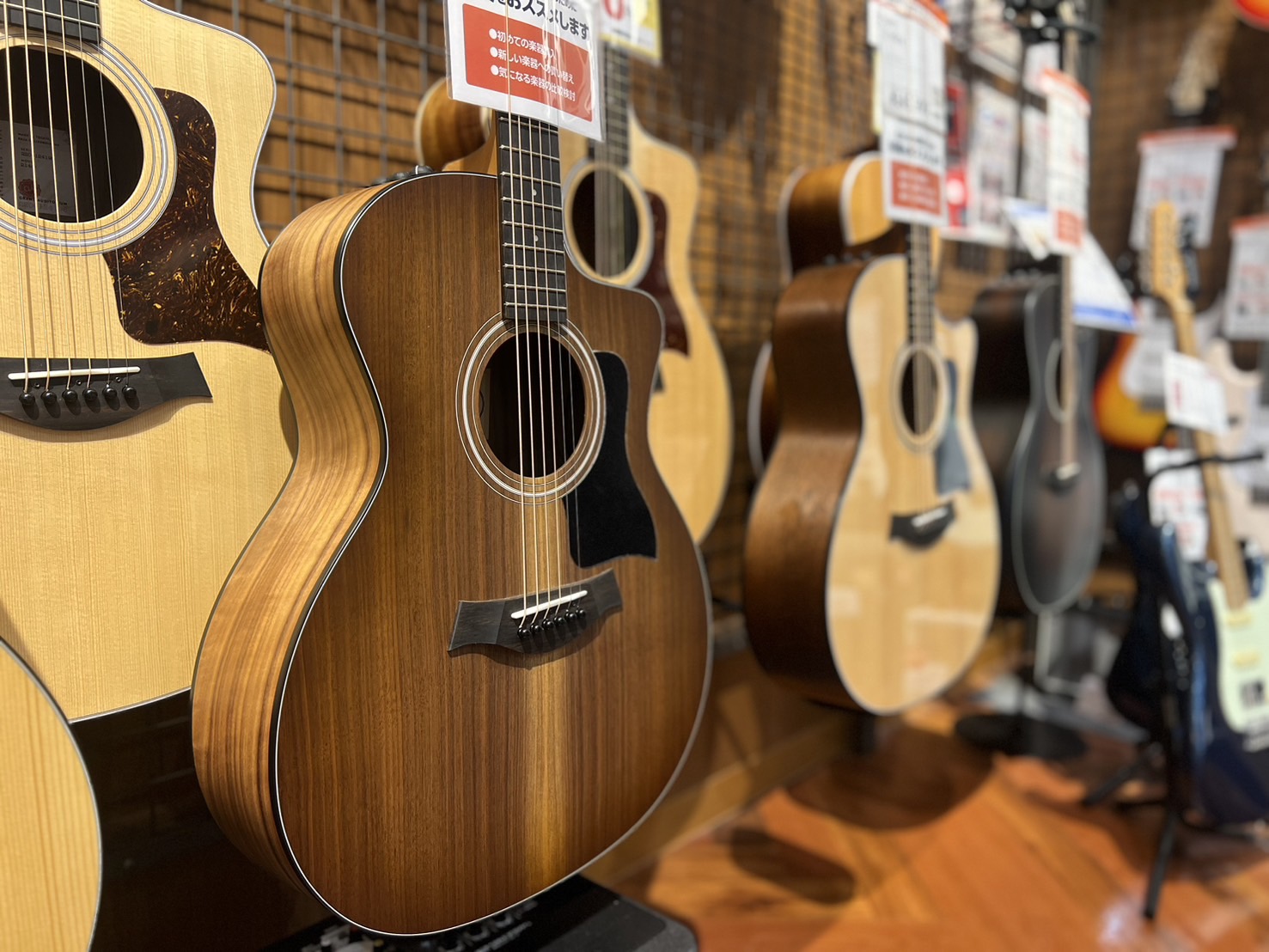 Taylor（テイラー）アコースティックギター展示販売中】ららぽーと福岡