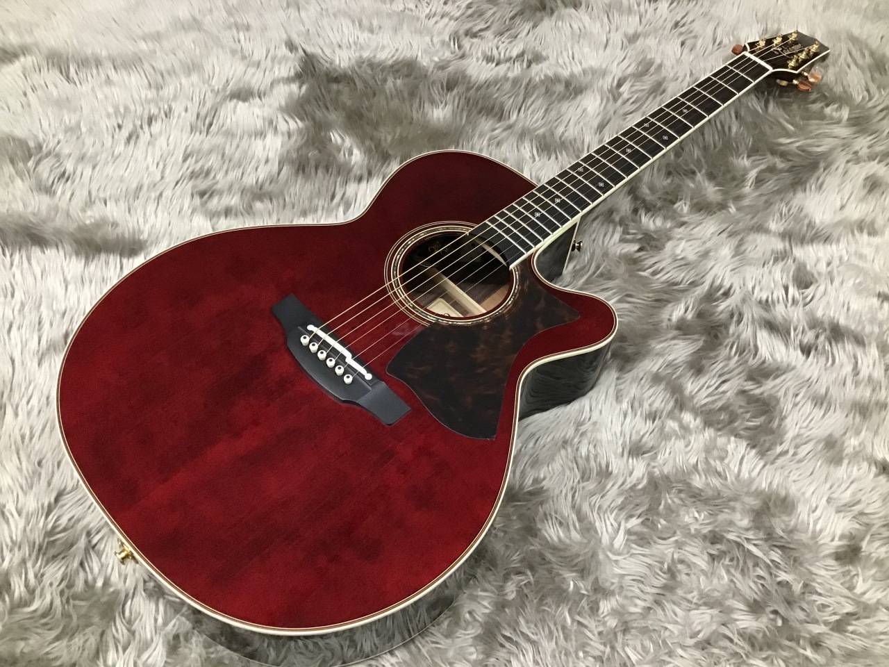 エレアコ】試せる3種類のプリアンプ！タカミネTDP、DMP、PTU揃ってます