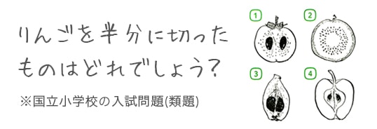 テスト・講習・幼児公開模試 - 小学校受験・幼稚園受験の伸芽会