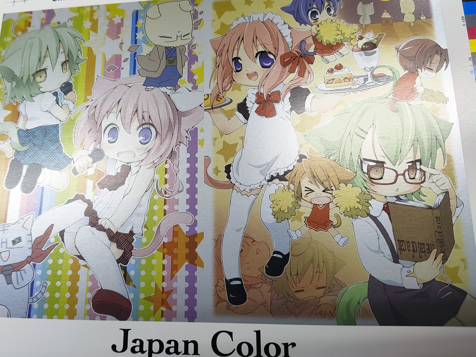 表紙オプション：フルカラー表紙の5色刷り