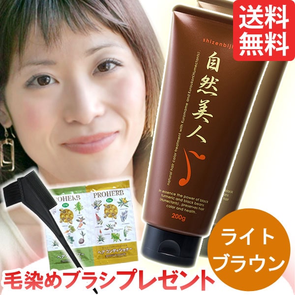 自然美人 ダークブラウン（200g）【2個セット】【アップワード】白髪