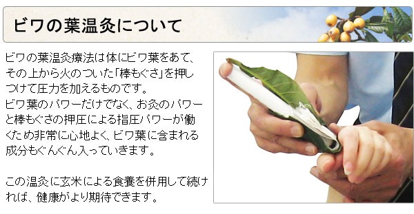 ビワ葉温灸療法はじめてセット（太棒もぐさ温灸セットとビワの葉自然