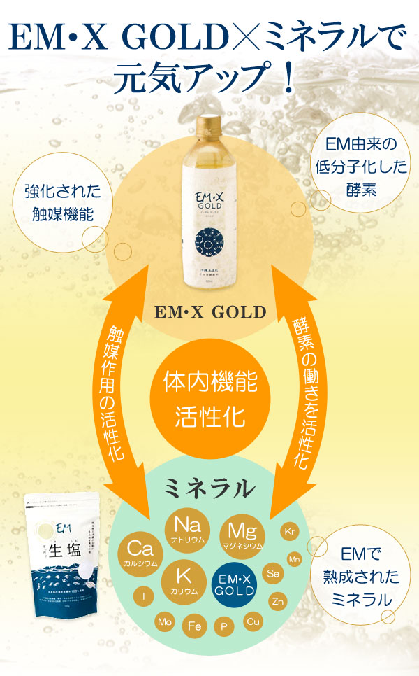 EM・Xゴールド（500ml）【2本セット】【イーエム総合ネット